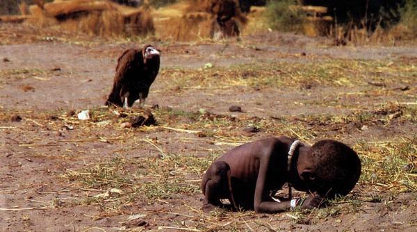 razboie ale foamei in urmatorii ani dezastrul ecologic care amenin a lumea