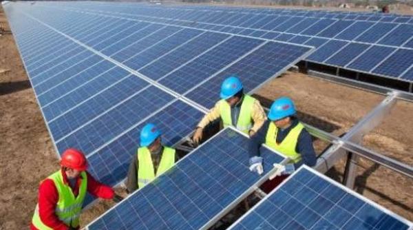 ce firme nu au voie sa faca concedieri in urmatorii 10 ani