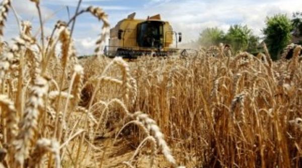 romania a exportat produse agroalimentare de 360 8 milioane euro in ianuarie porumbul si graul au ocupat primele pozitii