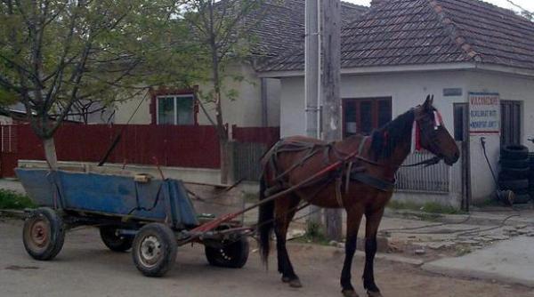 bancul zilei vame ul i badea gheorghe