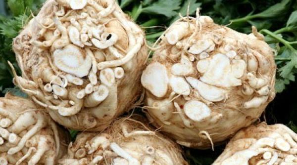 ce leguma previne cancerul i este i un afrodisiac natural