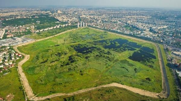 exclusiv ce se va intampla cu delta vacare ti nu cred ca autorita ile noastre au chef de un scandal vor urma proteste de strada