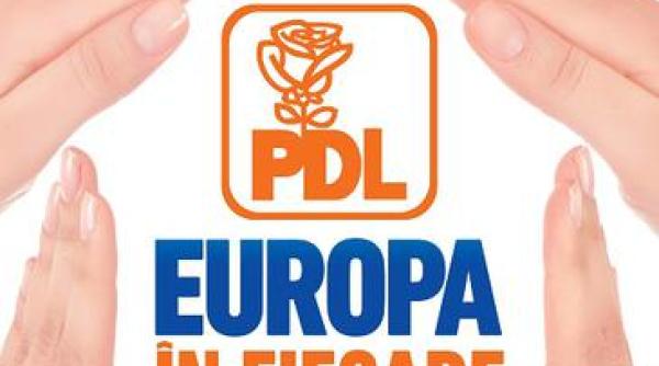alegeri europarlamentare pdl acuzat de plagiat in campania electorala
