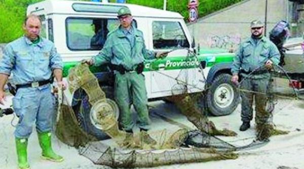 braconierii de dunare au devastat raul pad din italia