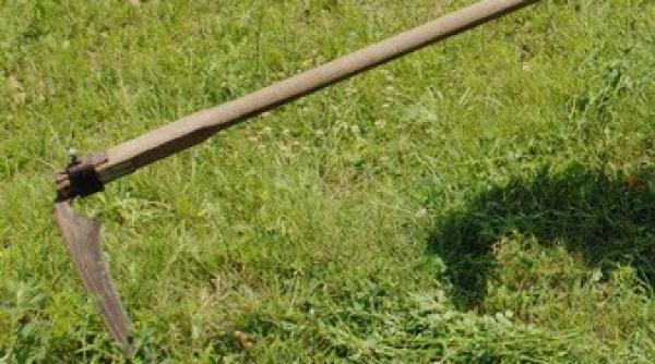 bancul zilei maria la coasa rezolvata de un necunoscut