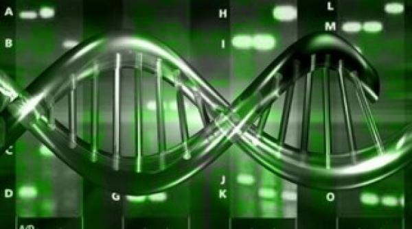 bomba in lumea tiin ifica via a extraterestra creata in laborator