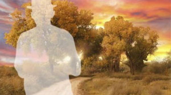 satira sfredelitoare i tragism interior sfasietor cu marius manole