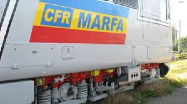 cfr marfa din nou fara manager privat ce decizie a luat dan belcea
