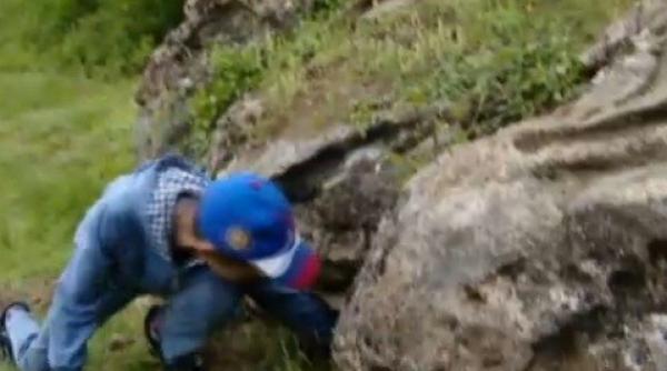 comoara de pe vremea dacilor descoperita in vizuina unei vulpi