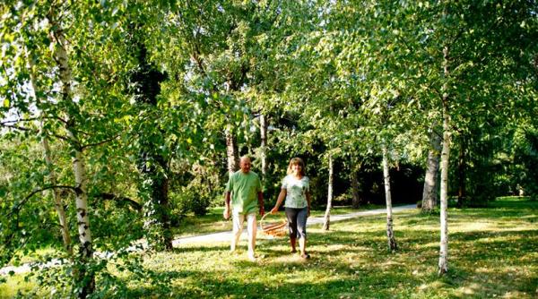 afacerea lui traian basescu acum a ob ine 8 000 de euro pe hectar