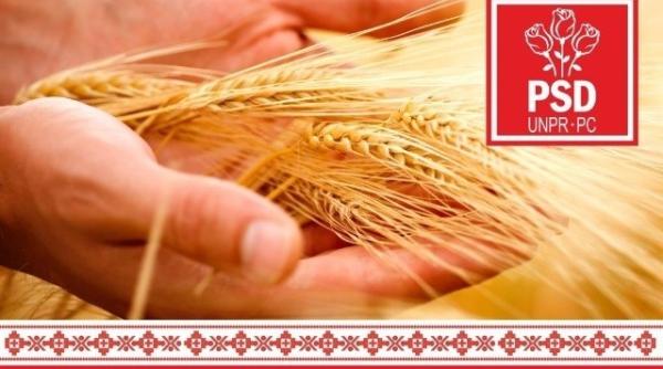 pdl lovitura dura pentru psd mandri ca suntem romani interzis