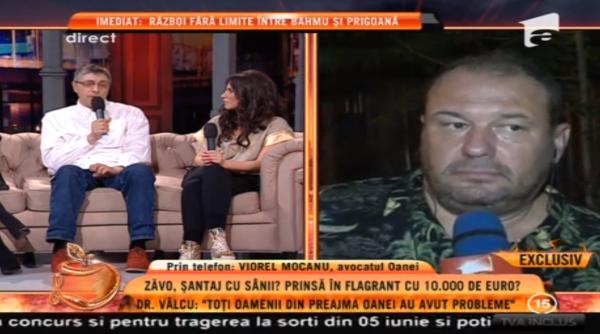 oana zavoranu antaj replica geniala a dr valcu pentru avocatul vedetei