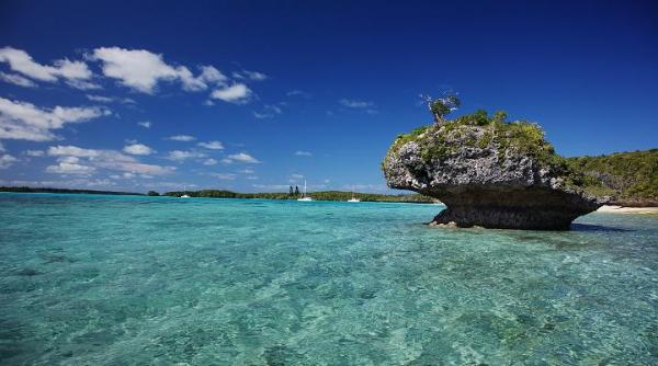 record pentru cea mai mare comoara marina