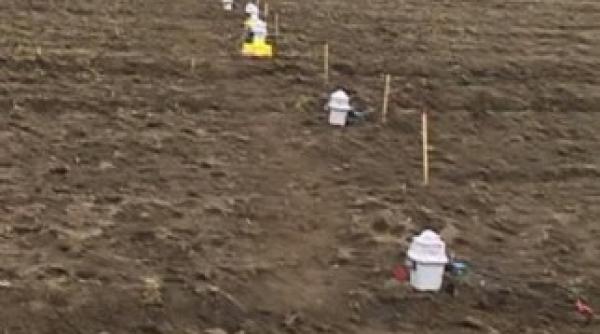 chevron se retrage din bulgaria