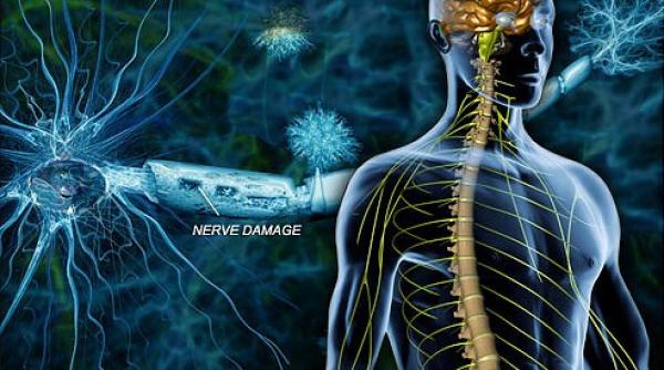 ziua interna ionala a sclerozei multiple