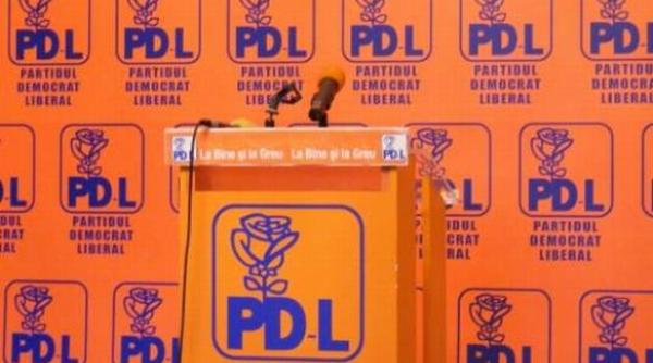 surse cum s ar putea numi partidul rezultat din fuziunea pnl pdl