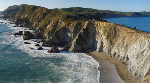 crezi ca este o pasare ai sa ramai fara glas