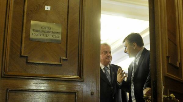 pdl i pnl sarcina oficiala sa fuzioneze