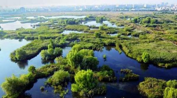 delta vacare ti admirata din cel mai inalt centru de observare din lume