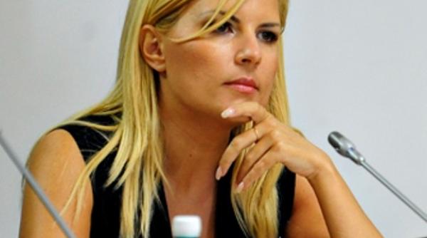 elena udrea a decis privind pmp
