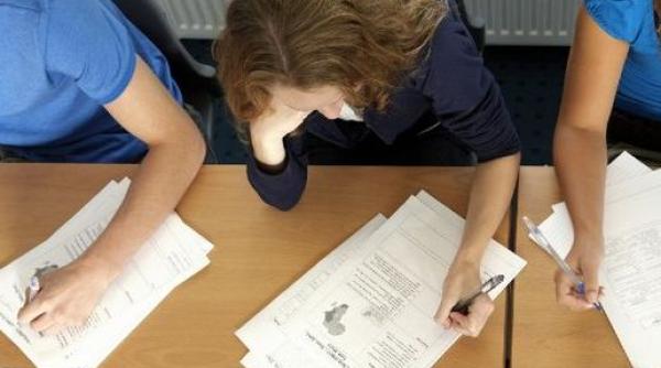 evaluare na ionala 2014 clasa a vi a subiecte la limba si comunicare