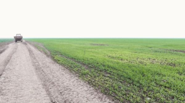 nana urmarire penala in dosarul terenurilor de la nana