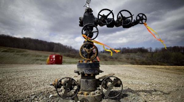 die welt gazele de ist salvarea de monopolul gazelor lui putin