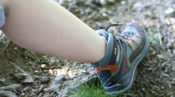 pericol ascuns in iarba din hunedoara anun ul autorita ilor