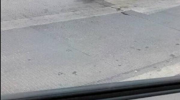 povestea porcului care i a spus eu nu mor la abator