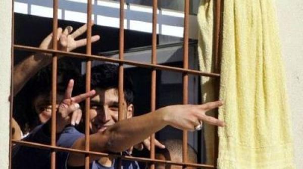 proiect privind gra ierea depus la senat