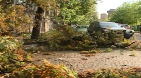 prapad pe dealul mitropoliei opt autoturisme au fost avariate