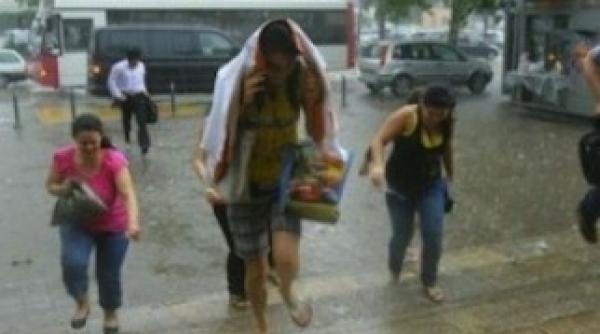 cod galben de ploi i vijelii in bucure ti