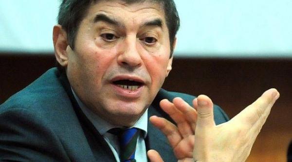 judecatorii ccr ii pot baga pe mihail vlasov i gruia stoica la loc in pu carie