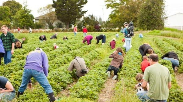 legea zilierilor reguli stricte salarizare eviden a i sanc iuni pentru munca la negru