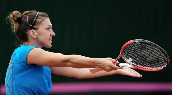 simona halep lupta cu annika beck pentru calificarea in sferturi la s hertogenbosch