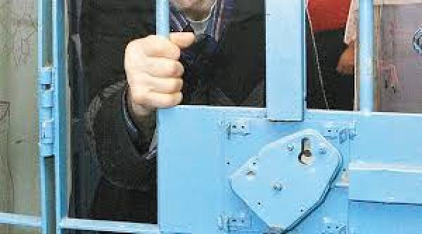 dna mircea basescu a promis gra ierea lui bercea mondial ce spune pre edin ia