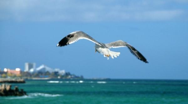 prognoza meteo pe trei luni cum va fi vremea pana in septembrie