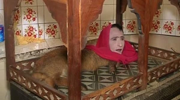 creatura fantastica jumatate om jumatate vulpe la gradina zoologica din pakistan