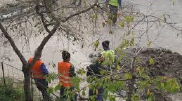 amenin area lui sorin oprescu pentru firmele de construc ii