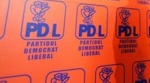 vicepre edinte pdl proiectul de fuziune bulversat de pnl