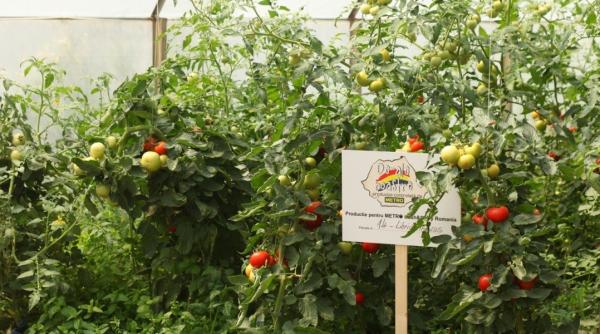 fructe de padure ciuperci i broccoli de ale noastre la metro