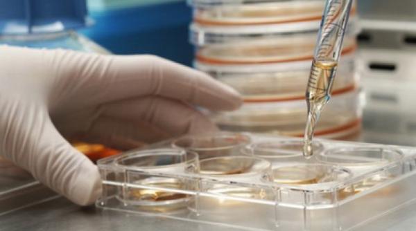 perchezi ii la zeci de clinici medicale private din bucure ti i din ara