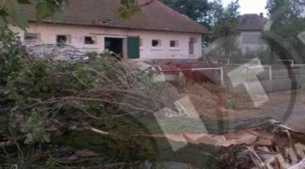 tornada in mangalia a fost un adevarat prapad