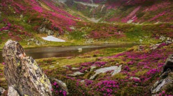 o fotografie realizata de un roman a fost publicata de national geographic