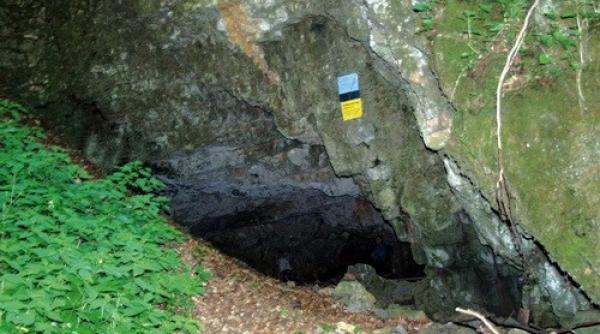 cele mai vechi urme de homo sapiens descoperite in romania