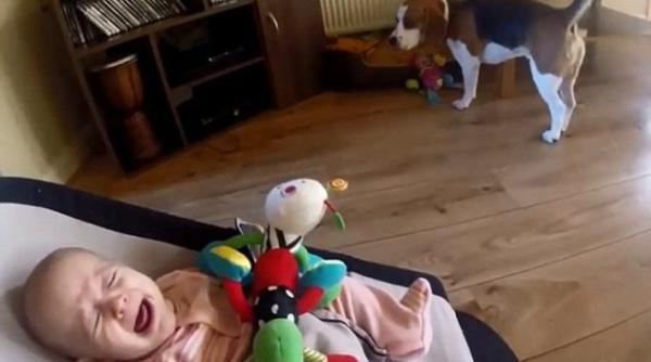 cum ii cere scuze un ca el unui copil pentru ca i a furat jucaria video