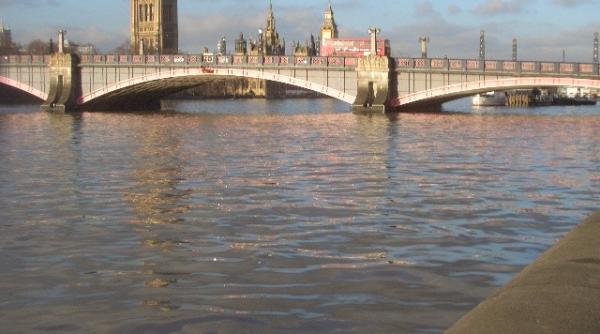 o femeie s a aruncat in tamisa pentru a salva un caine foto