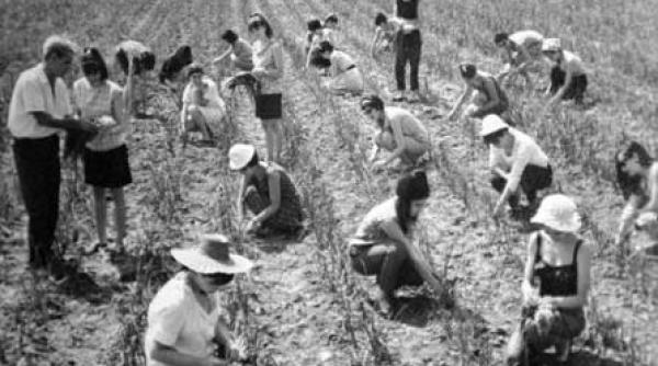 bancul zilei cele 7 minuni ale comunismului