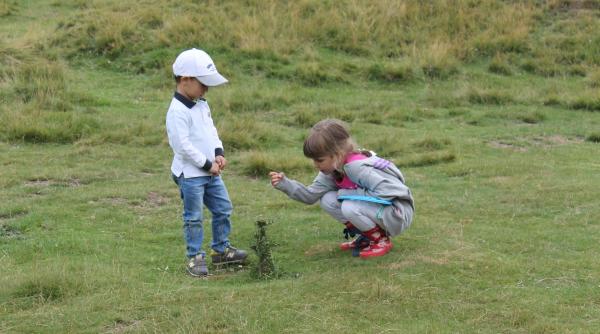 padina fest 2014 atmosfera de sarbatoare cu multa muzica bautura i mancare