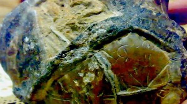 misterul har ii extraterestre din pe tera lui satan indonezia